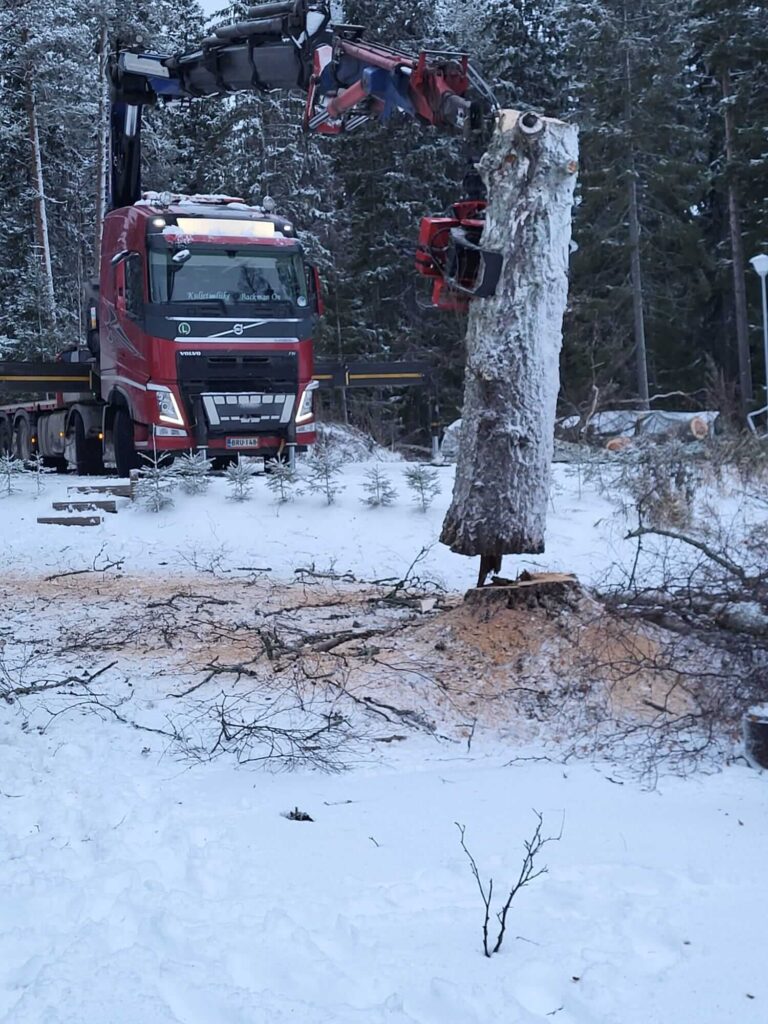 Puunkaato ja kannon jyrsintä.